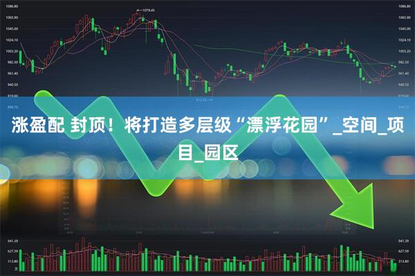 涨盈配 封顶！将打造多层级“漂浮花园”_空间_项目_园区