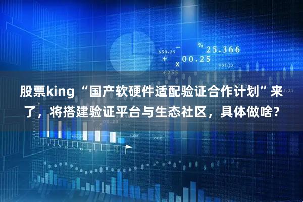 股票king “国产软硬件适配验证合作计划”来了，将搭建验证平台与生态社区，具体做啥？