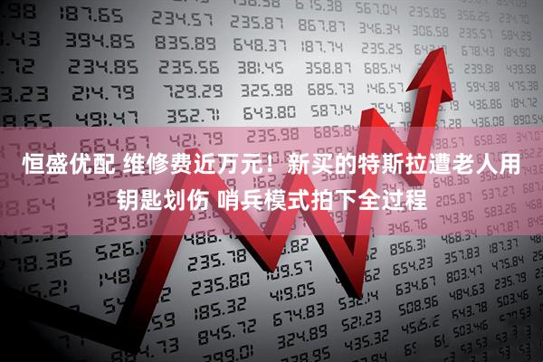 恒盛优配 维修费近万元！新买的特斯拉遭老人用钥匙划伤 哨兵模式拍下全过程