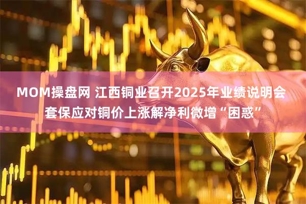 MOM操盘网 江西铜业召开2025年业绩说明会 套保应对铜价上涨解净利微增“困惑”